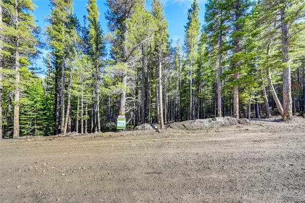 Idaho Springs, CO 80452,Lot 171 Lower Forest Road