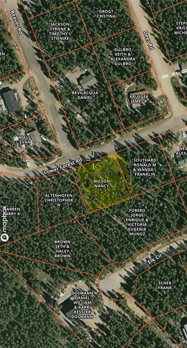 Idaho Springs, CO 80452,Lot 171 Lower Forest Road