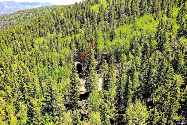 Idaho Springs, CO 80425,0 Hidden Wilderness