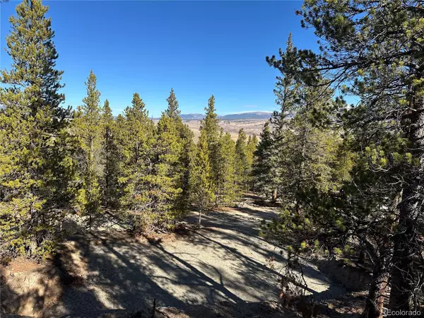 Leadville, CO 80461,48 Lodgepole DR