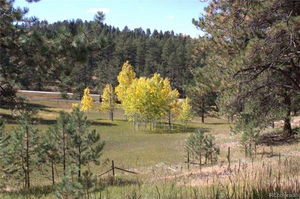 Woodland Park, CO 80863,28400 State Highway 67