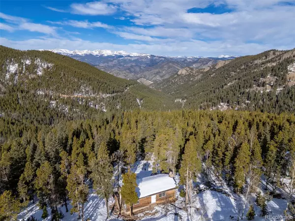 293 Mountain View DR, Idaho Springs, CO 80452