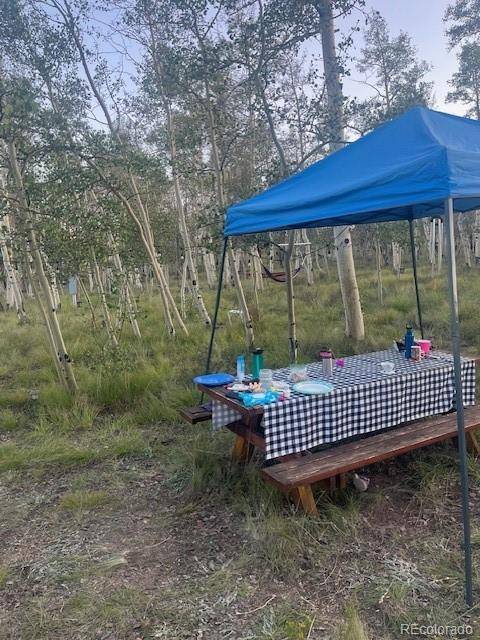 Hartsel, CO 80449,386 Hereford DR