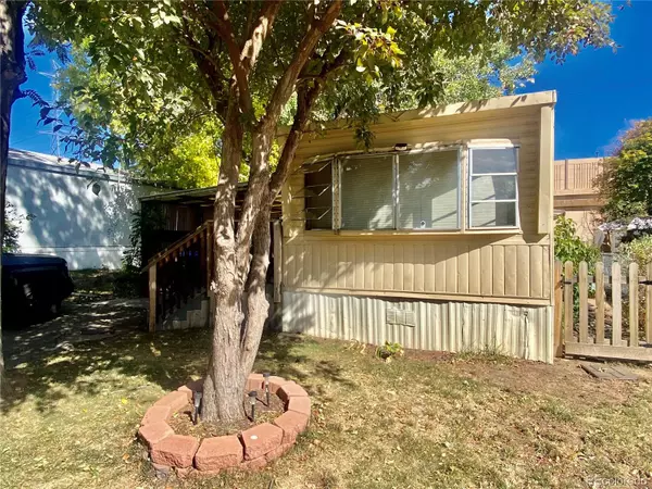 Golden, CO 80401,6 Cougar ST