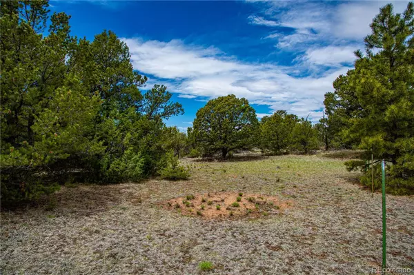 Cotopaxi, CO 81223,200 Cottonwood DR