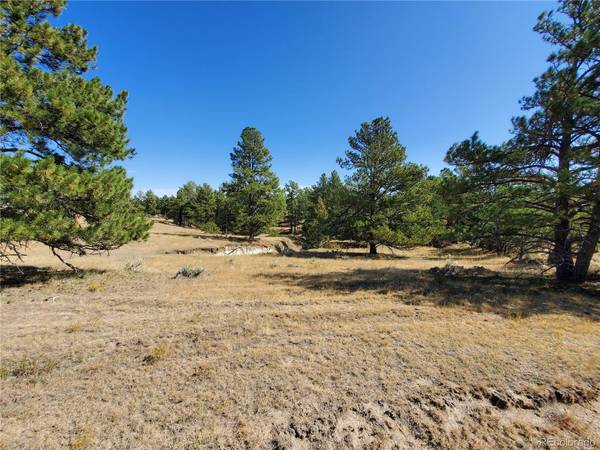 Deer Trail, CO 80105,Lot B County Road 166