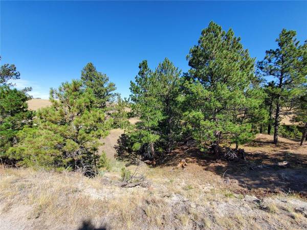 Deer Trail, CO 80105,Lot B County Road 166