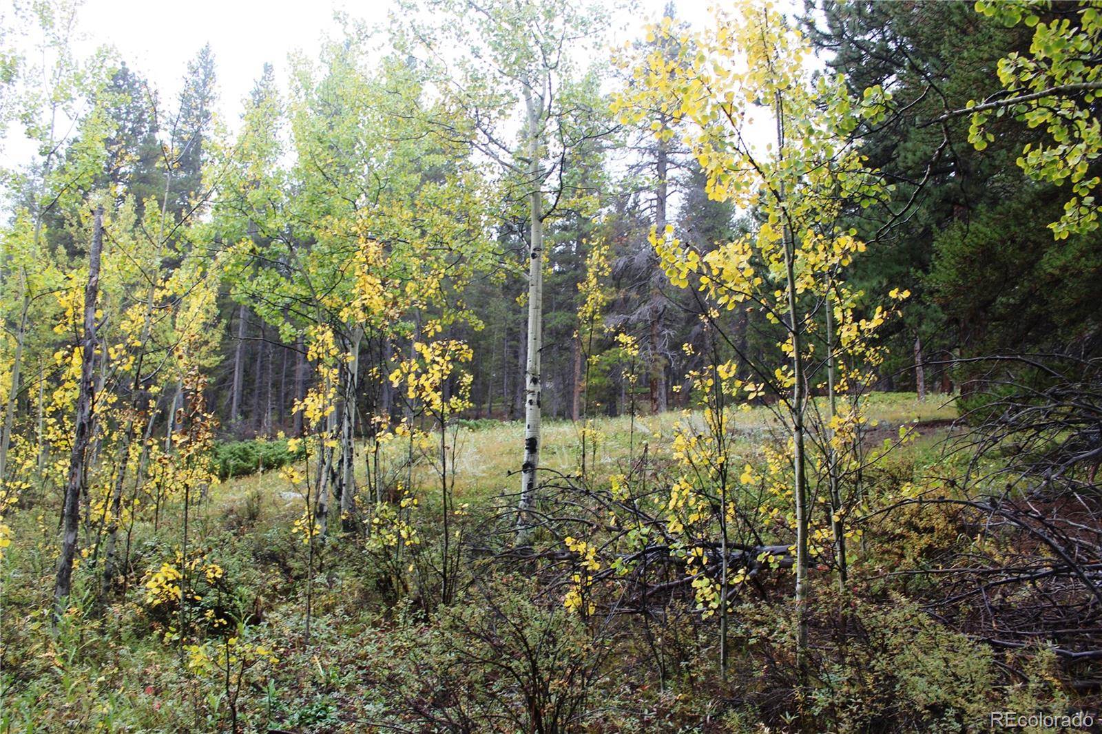 Black Hawk, CO 80422,1100 S Dory Lakes