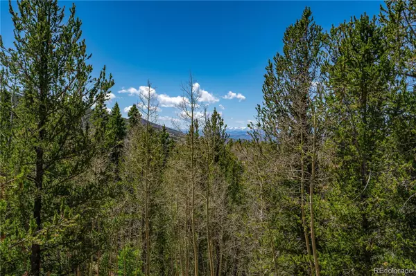 Cripple Creek, CO 80813,Brown Bear DR