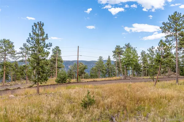 Conifer, CO 80433,13144 Pine Country LN