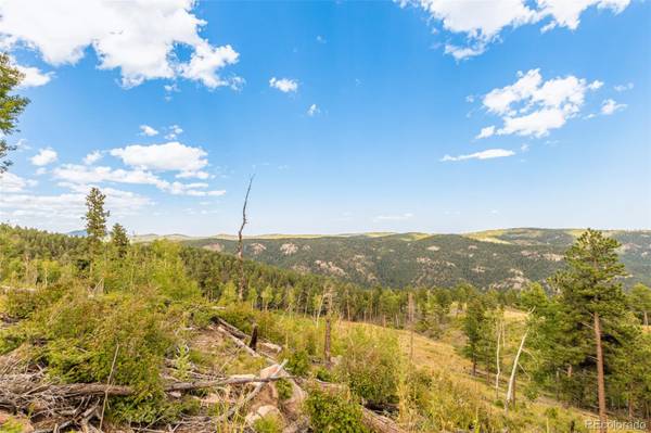 Conifer, CO 80433,13144 Pine Country LN