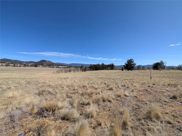 Jefferson, CO 80456,67 Colt LN