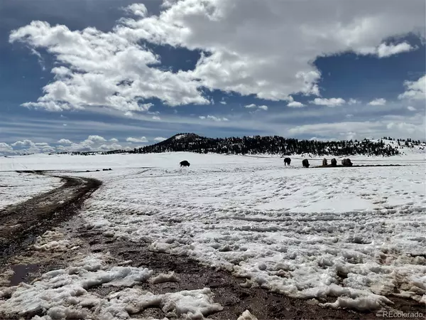 Hartsel, CO 80449,Lot 5521 Nana RD