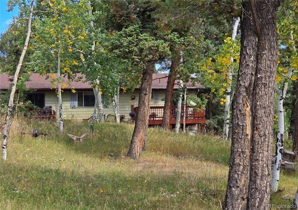 11953 US Highway 285, Conifer, CO 80433