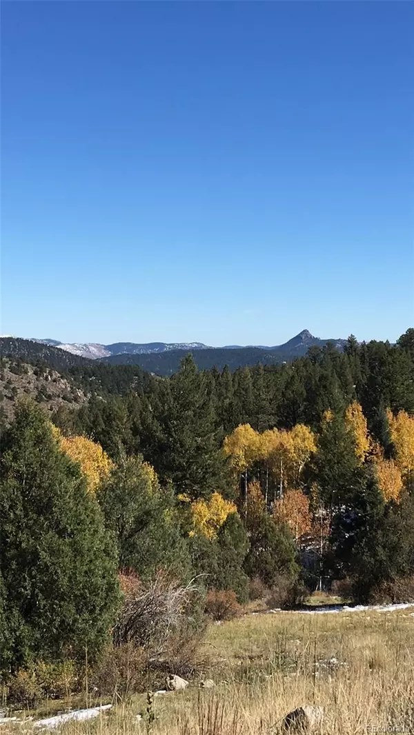 Pine, CO 80470,14745 Wetterhorn Peak TRL