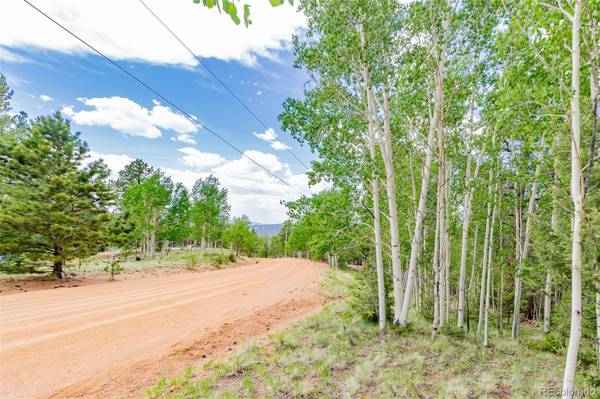 Cripple Creek, CO 80813,57 May Queen CIR