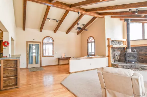 Creede, CO 81130,206 La Font DR