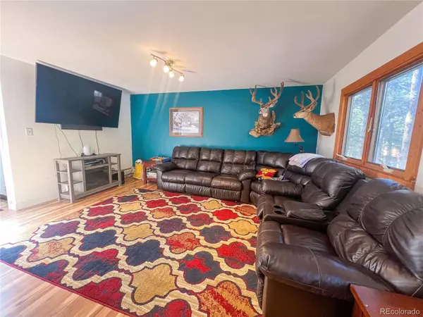 Leadville, CO 80461,1961 Prospector DR