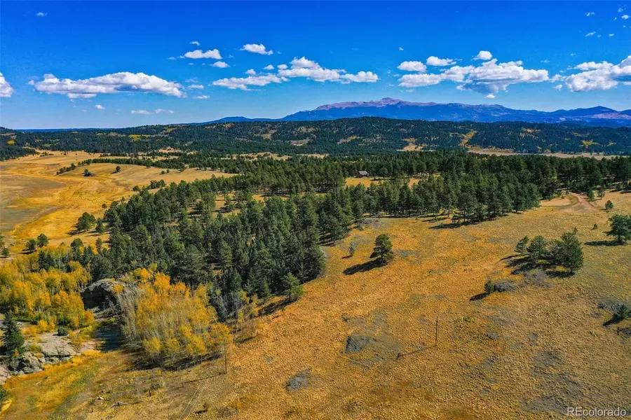 233 Steel Bit DR, Florissant, CO 80816