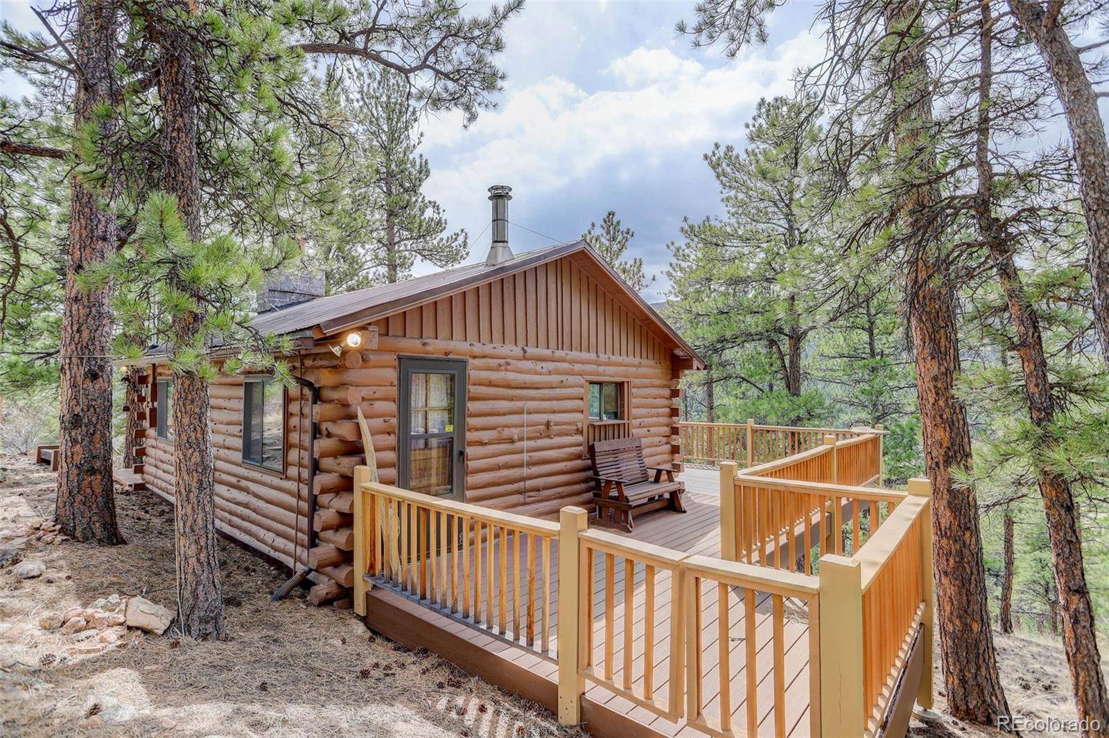 307 Virginia RD, Bailey, CO 80421