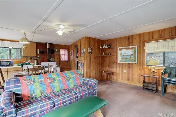 Bailey, CO 80421,307 Virginia RD