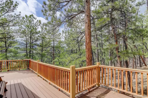 Bailey, CO 80421,307 Virginia RD