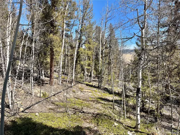 2834 Middle Fork VIS, Fairplay, CO 80440