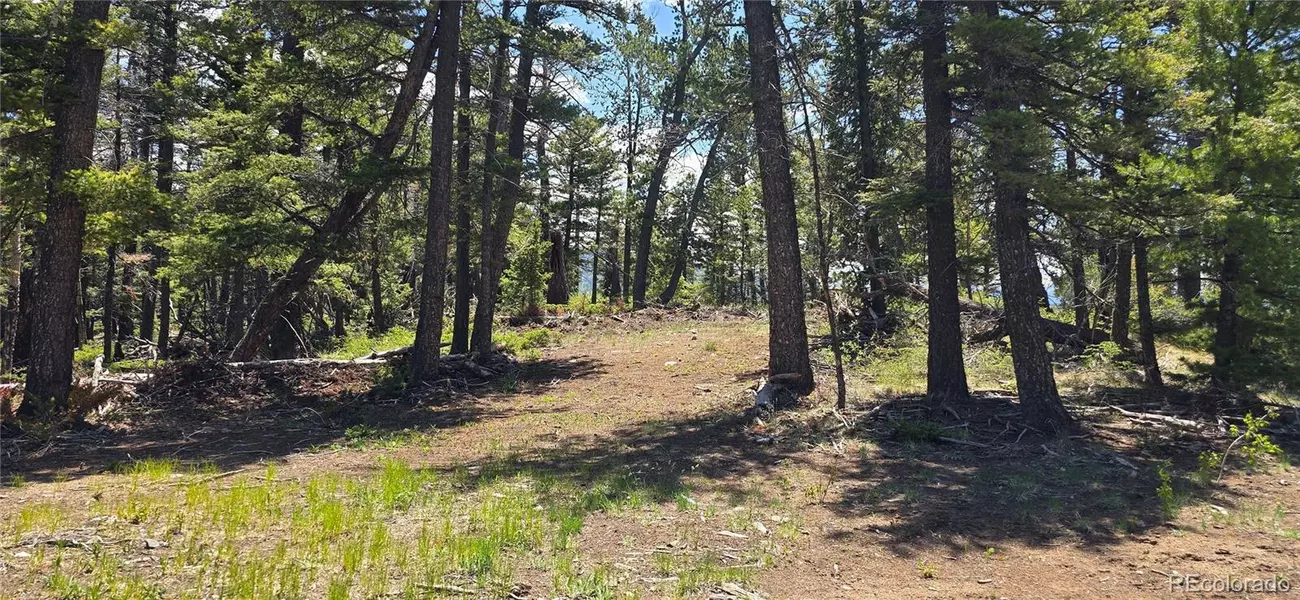 Lot 5546 Balleroy RD, Fort Garland, CO 81133