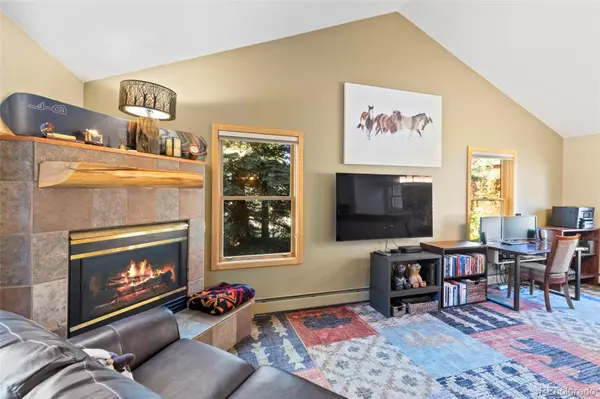 Keystone, CO 80435,67 Norse LN #12