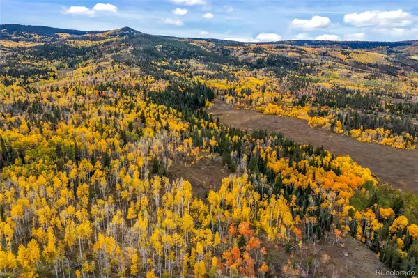 Oak Creek, CO 80467,Lot 98 South Station I