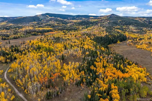 Lot 98 South Station I, Oak Creek, CO 80467
