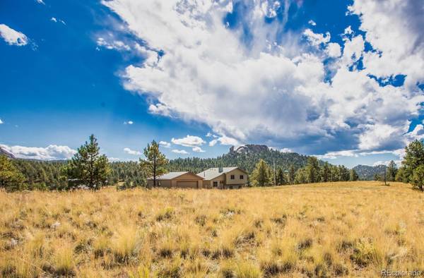 558 N Deer Mountain RD, Florissant, CO 80816