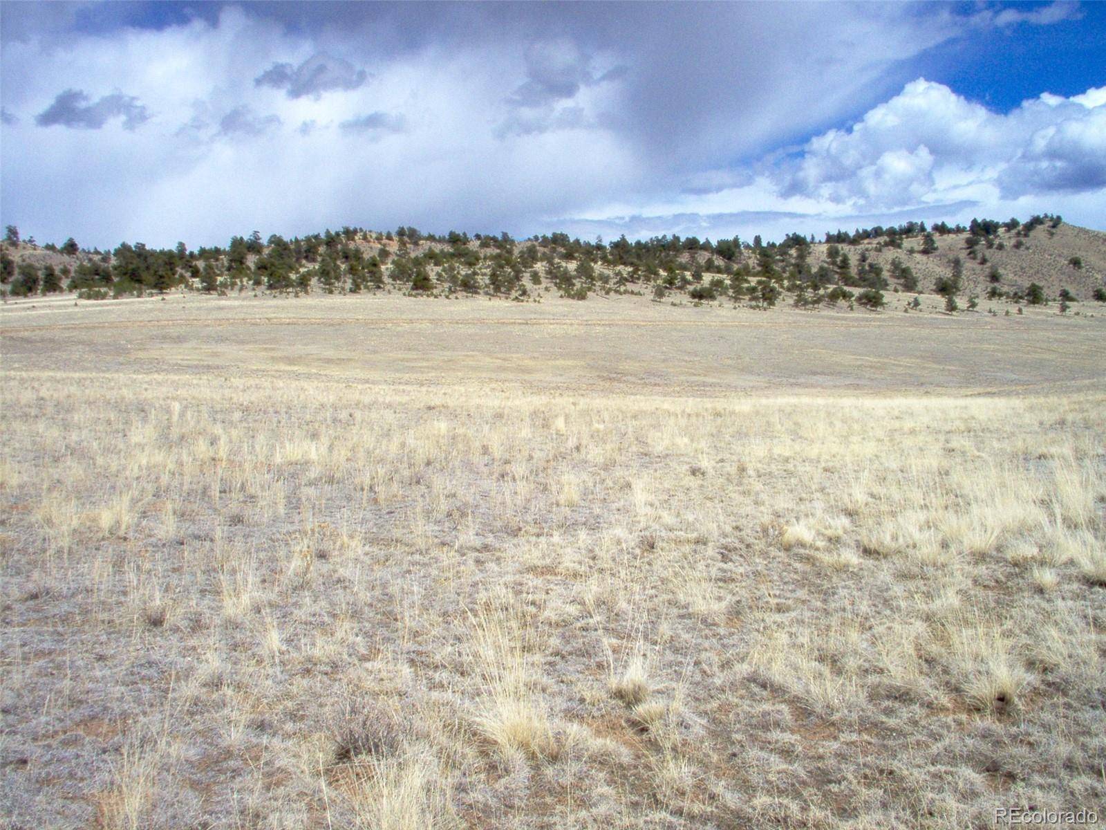 Hartsel, CO 80449,1651 S Muley Gulch DR