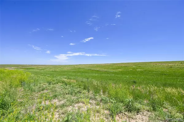 Last Dart RD, Kiowa, CO 80117