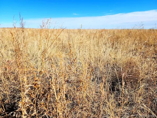 Ramah, CO 80832,TBD County Road