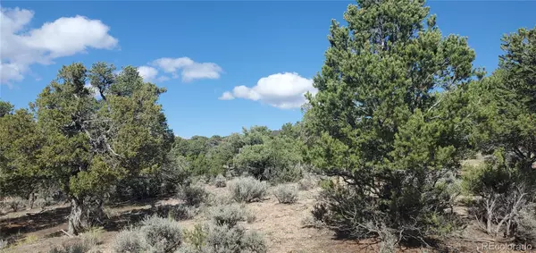 Fort Garland, CO 81133,Lot 7137 Dunklau RD