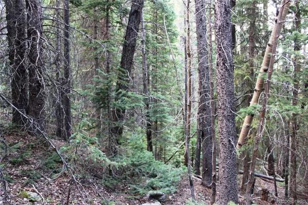 Black Hawk, CO 80422,00 Gamble Gulch