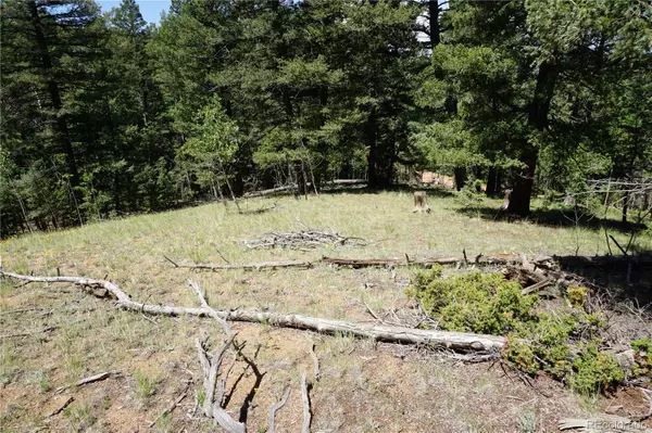 Cripple Creek, CO 80813,1000 Bennett