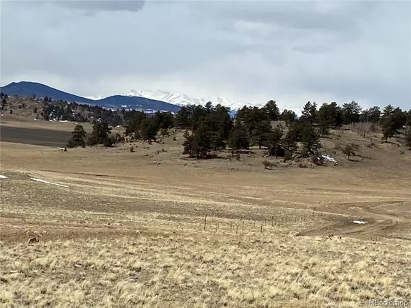 Hartsel, CO 80449,Dog Chief TRL