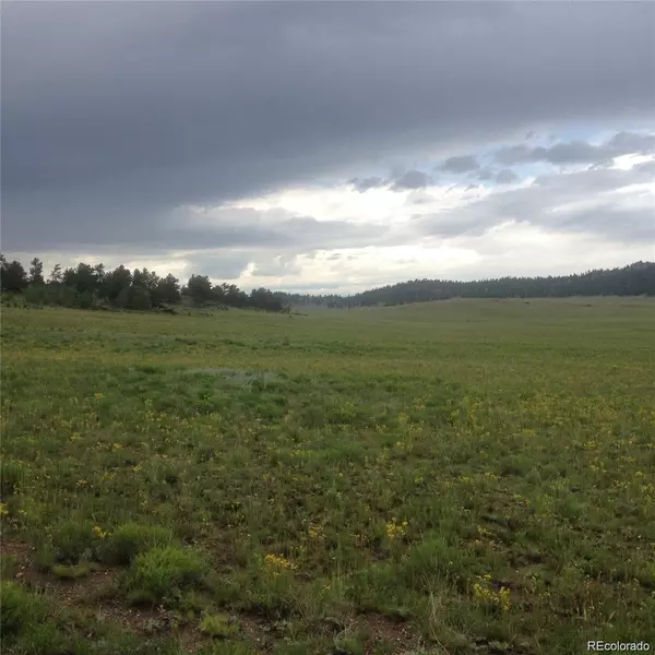 Dog Chief TRL, Hartsel, CO 80449