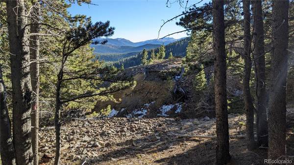 Lot 920 Lincoln CIR, Idaho Springs, CO 80452