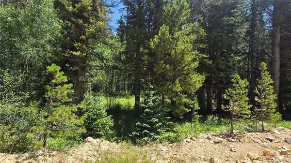 Idaho Springs, CO 80444,Deer