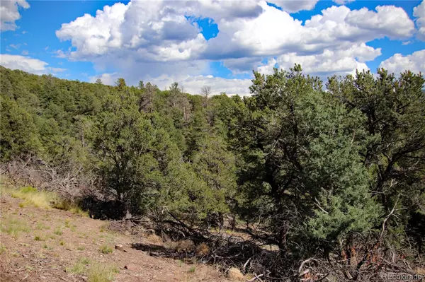 San Luis, CO 81133,4503 Alexandre RD