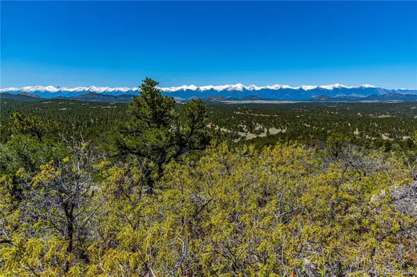 TR-16 White Wing WAY, Cotopaxi, CO 81223