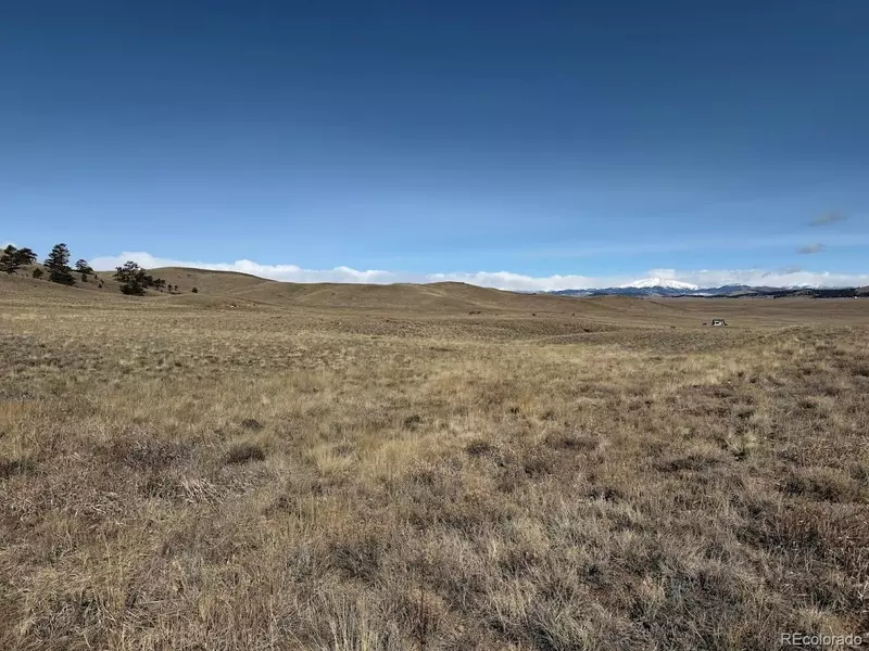 000 Sioux RD, Hartsel, CO 80449