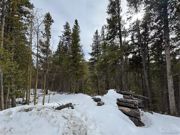 Idaho Springs, CO 80452,649 Vista RD