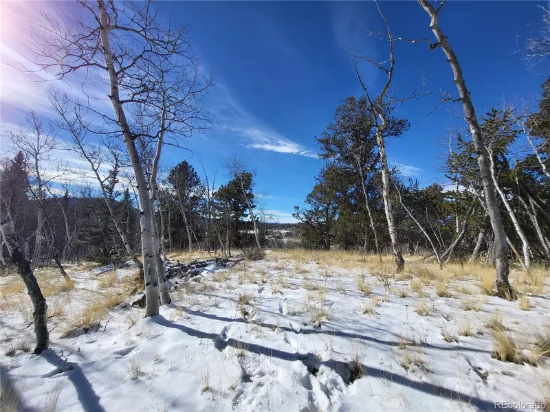 81 Concord DR, Jefferson, CO 80456