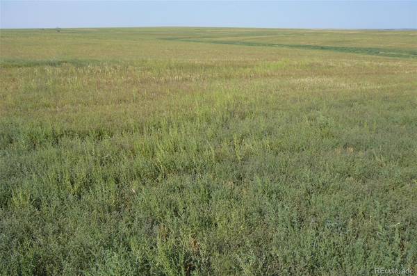 Byers, CO 80103,Vacant Land