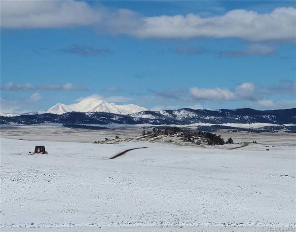 Delaware RD, Hartsel, CO 80449