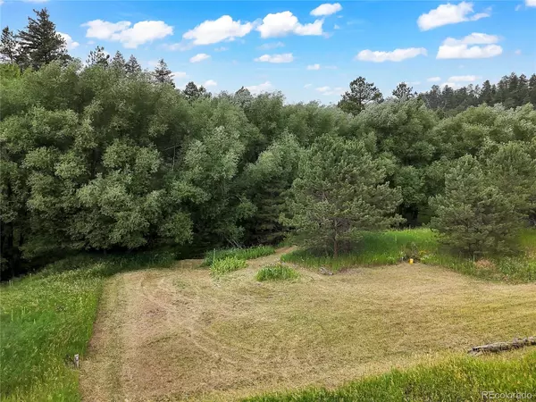 Indian Hills, CO 80454,5411 Parmalee Gulch RD